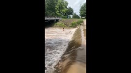 Hero passerby rescues drowning dog from weir