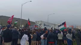 Protesters rally at Webb Dock, Melbourne, demanding a free Palestine