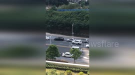 Pedestrian climbs lamppost to flee from escaped dog in China