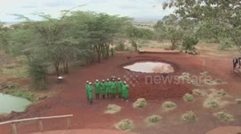 Camilla bottle-feeds orphaned baby elephants at Kenya sanctuary