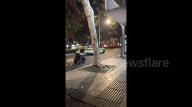 Chinese Dog Pushes Wheelchair-Bound Owner for a Stroll in Changde