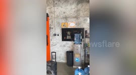 Lonely pet dog stares longingly at owner through staff room window
