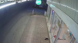 Stray dog caught stealing Adidas trainers from outside shop