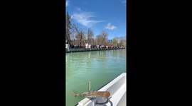 Strangers Sing Happy Birthday