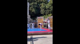 Golden Retriever Wants to Be a Part of Taekwondo Demonstration