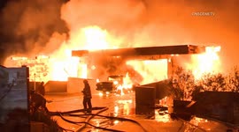 ‘Don’ fire rages in Topanga, LA County, before firefighters get it under control