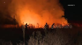 Pomona: Brushfire Near 71 Fwy
