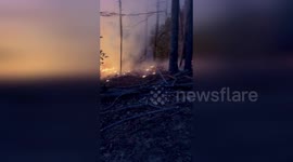 Cedar Mountain Fire Rescue Battles Brush Fire on Cascade Lake Road Amidst Burn Ban In North Carolina, USA