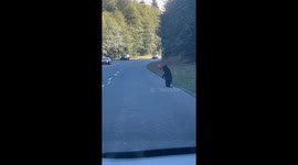 What you playing at? Hilariously distracted bear cub toys with balloon on Canadian road before mama comes back