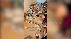 World's Best Cleaner' spends hours tackling filthy bathroom