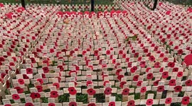 Westminster Abbey Field of Remembrance ahead of Armistice Day