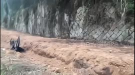 Man Falls While Riding Downhill on a Bicycle, Pinning Beneath the Bike in China