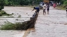Paddle harder! Heroic effort saves pup swept away in South India floods, with a little help from kindly locals