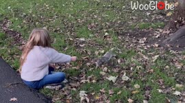 Girl is pleasantly surprised after squirrels accept her feeding invitation