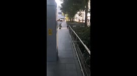 Macaca Takes a Stroll on Bustling Streets in China’s Beijing