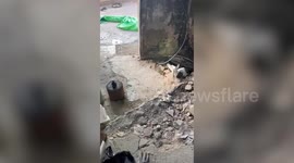 IDF Conducts Successful Counterterrorism Operation in Jenin Camp, Neutralizes Armed Terrorists