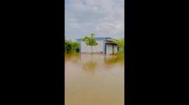 Somalia floods: El Nino rains displace 300,000 as UN warns of 'once-in-a-century' event
