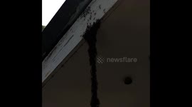 Top 4 Crazy Moments Caught on Camera