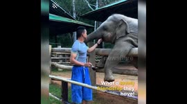 Top 12 Viral Video Moments