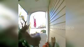 Deer Caught on Camera