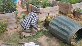 Cutting A Snake Out Of The Compost