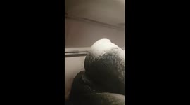 Snow Storm Strands Passengers in Bus