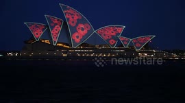 Opera House lit up with poppies for Remembrance Day (Armistice Day), Sydney, Australia