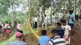 Leopard rescued after it fell into well in southern India
