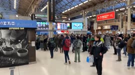 Pro-Palestine protesters and right-wingers taunt each other at Victoria Station
