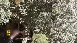 Hezbollah leader says to continue pressure Israel from S. Lebanon
