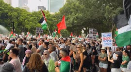 ‘Protest: stop the genocide in Gaza. Free Palestine!’
