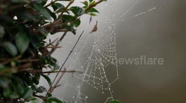 Misty morning turns ordinary view into enchanted scene, Trent Lock, Long Eaton, Derbyshire, UK