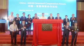 ASEAN officials hope to strengthen cooperation with China on blue economy