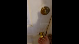 The View Every Time I Open Our Back Door