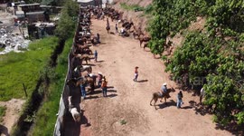 São Paulo Brazil November 12, 2023. Knights from various places gathered this Sunday (12) in the Perus neighborhood, in the west of São Paulo, to carry out the 5th Cavalcade Against Feminicide.