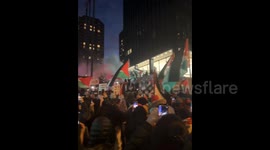 Canada: Protest March Calling For Gaza Ceasefire Joined By Thousands In Montreal 2