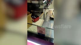 Chinese restaurant with rats scurrying around kitchen forced to close