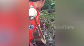 Reptile catcher drags massive 7ft monitor lizard out of resident's overgrown garden