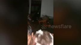 Frantic family carry pet dogs to rooftop as they flee from flooded home during storm