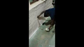 Going to ssschool: Snake found curled up in student's shoe in India, rescued by snake catcher