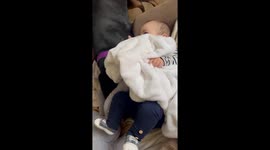 Dog Tickles Baby
