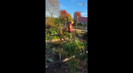 Man secretly invites brother to his town to give their mom a heartwarming surprise