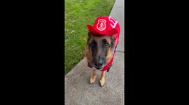 Remy Ready To Rescue