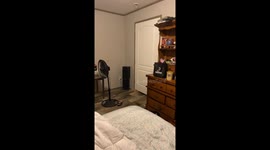 Amazing Liquid Kitty Squeezes Under Door