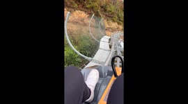 Bear Encounter on a Roller Coaster