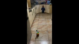 Toddler Scared of Singing Cactus