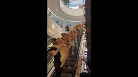 The Cutest Escalator in the World