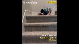 Adorable Toddler Masters the Stairs
