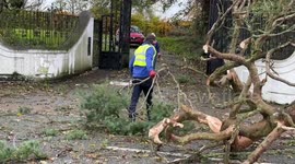People clear fallen tree as Storm Debi leaves trail of debris in Dundalk, Ireland
