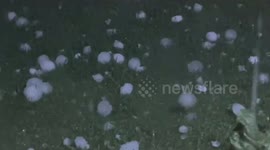Golf ball-sized hail pummels South African province, makes streets look like they're covered in snow